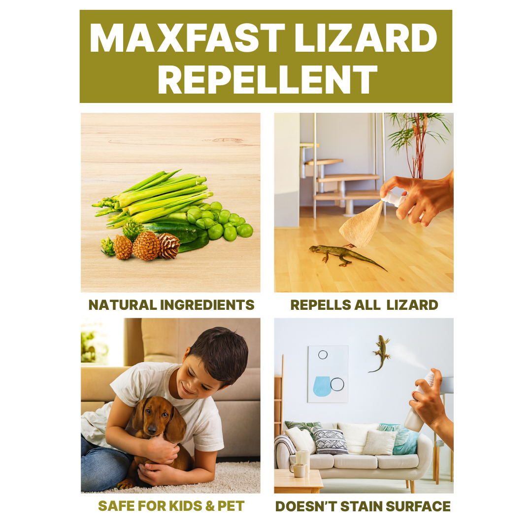 Max Fast Lizard Repellent Spray : 500ml