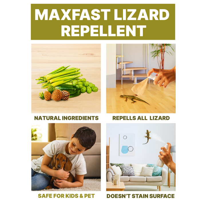 Max Fast Lizard Repellent Spray : 500ml