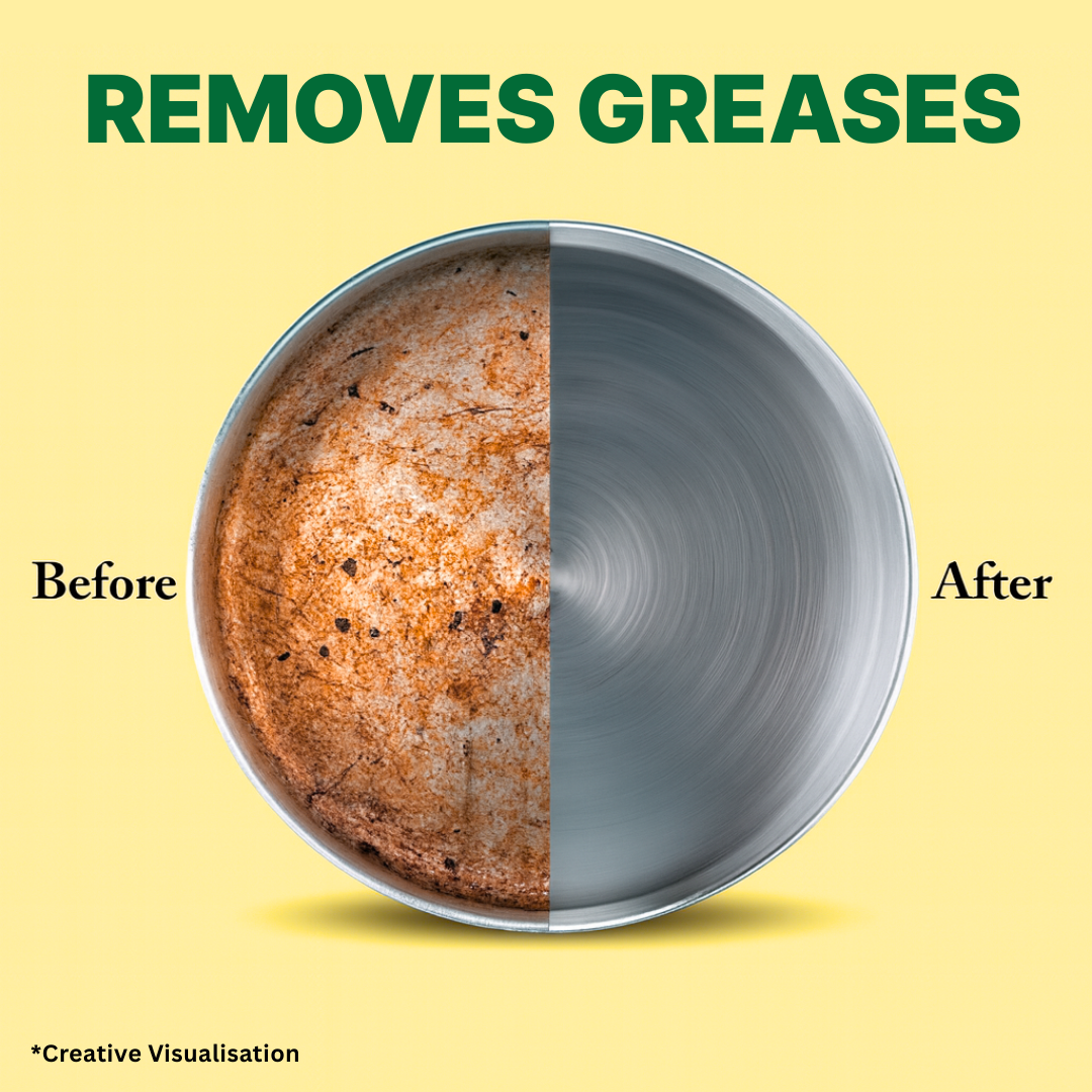 MaxFast  Dishwash Gel : 500 ml